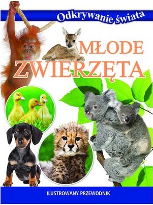 Okładka